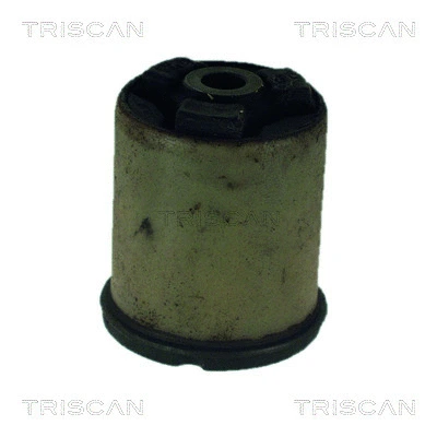 Bushing, axle beam (8500 24821)