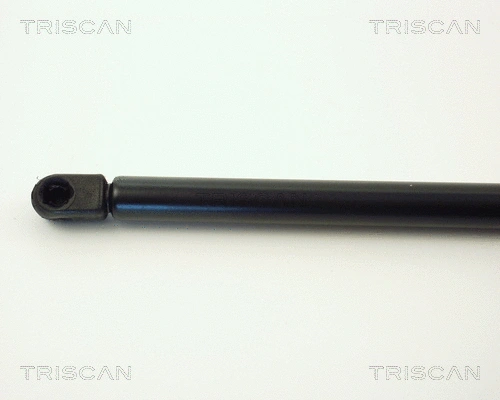 Gas Spring, boot/cargo area