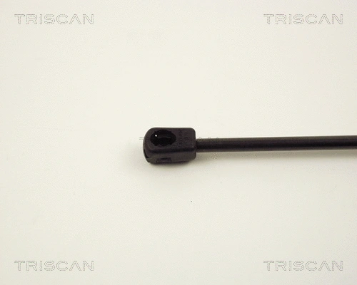Gas Spring, boot/cargo area