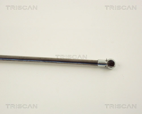 Gas Spring, boot/cargo area