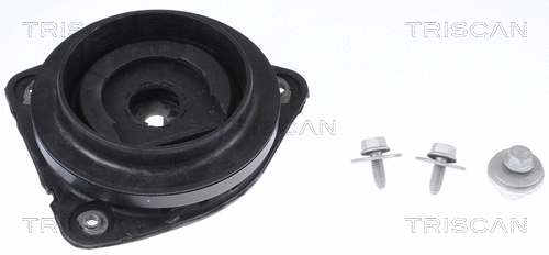 Repair Kit, suspension strut support mount (8500 25922)