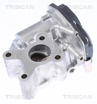 EGR Valve (8813 14015)