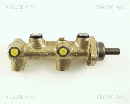 Brake Master Cylinder (8130 29111)
