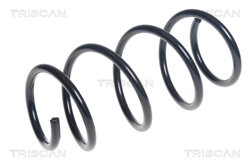 Suspension Spring (8750 29389)