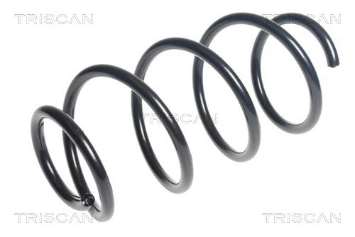 Suspension Spring (8750 43134)