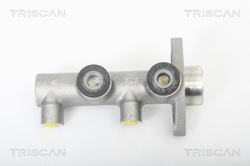 Brake Master Cylinder (8130 21100)