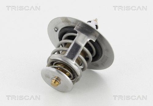 Thermostat, coolant (8620 38900)