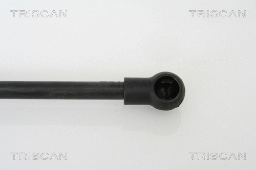 Gas Spring, bonnet
