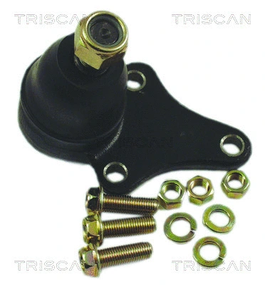 Ball Joint (8500 13054)