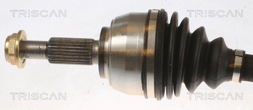 Drive Shaft