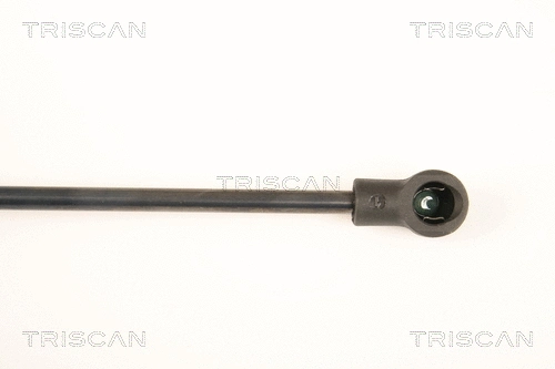Gas Spring, boot/cargo area