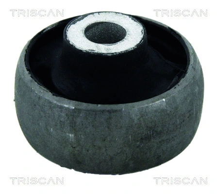 Mounting, control/trailing arm (8500 298003)