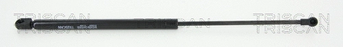 Gas Spring, boot/cargo area (8710 29250)