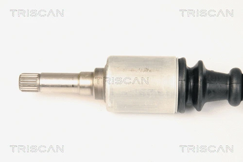 Drive Shaft