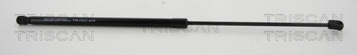 Gas Spring, boot/cargo area