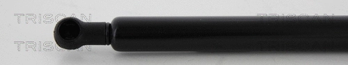 Gas Spring, boot/cargo area (8710 23238)