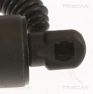 Gas Spring, boot/cargo area