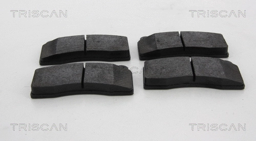 Brake Pad Set, disc brake (8110 10593)