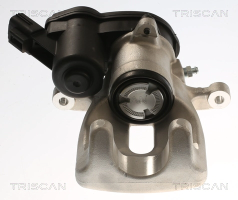 Brake Caliper (8175 25221)