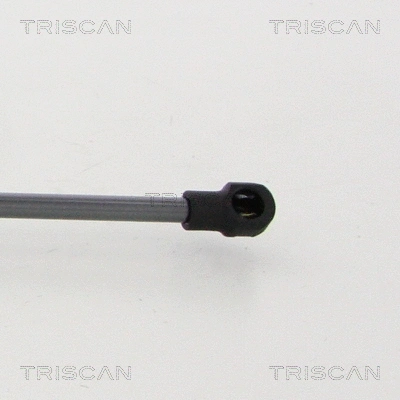 Gas Spring, boot/cargo area