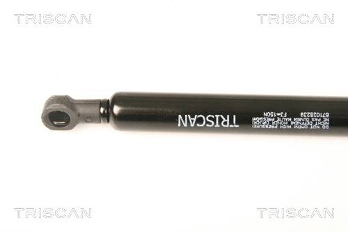 Gas Spring, rear window