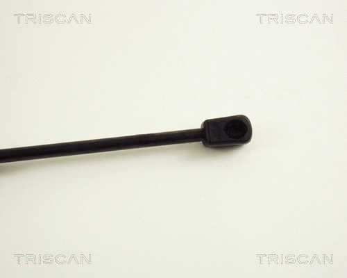 Gas Spring, boot/cargo area