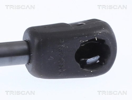 Gas Spring, bonnet