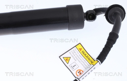 Gas Spring, boot/cargo area
