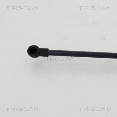 Gas Spring, boot/cargo area
