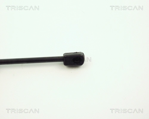 Gas Spring, boot/cargo area