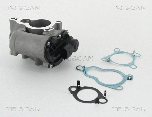EGR Valve (8813 25010)
