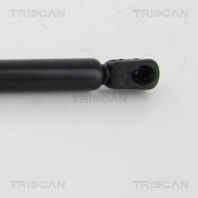 Gas Spring, boot/cargo area