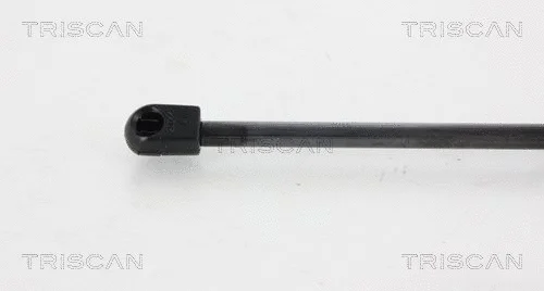 Gas Spring, boot/cargo area