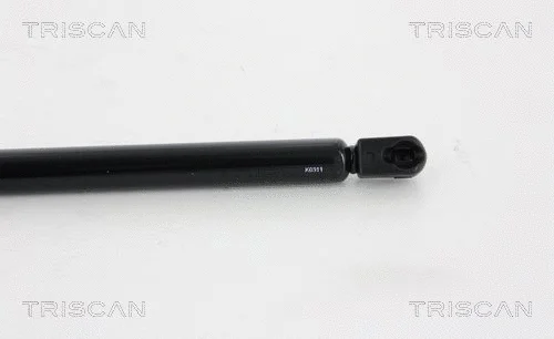 Gas Spring, boot/cargo area