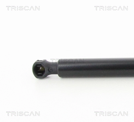 Gas Spring, boot/cargo area