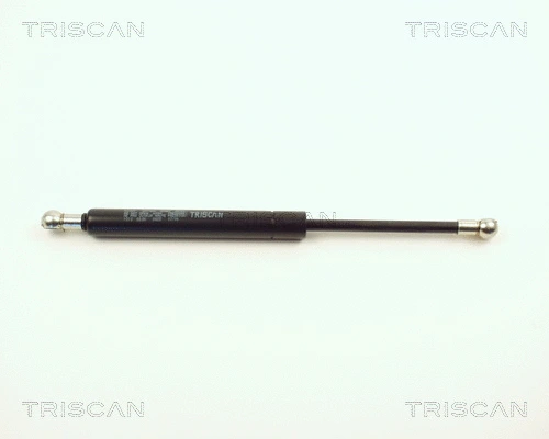 Gas Spring, boot/cargo area (8710 1010)