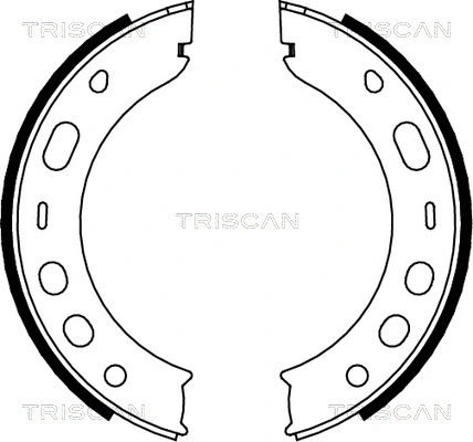 Brake Shoe Set, parking brake (8100 20001)