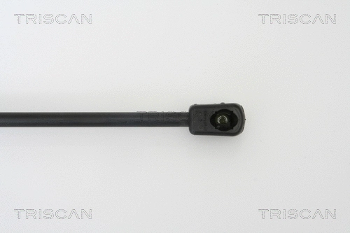 Gas Spring, boot/cargo area