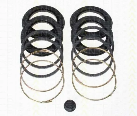 Repair Kit, brake caliper (8170 204844)