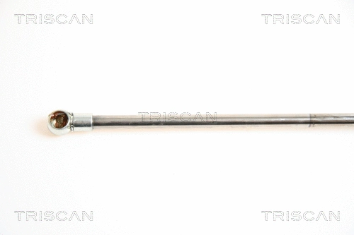 Gas Spring, boot/cargo area