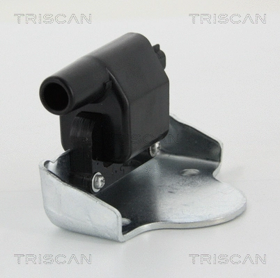 Ignition Coil (8860 17013)