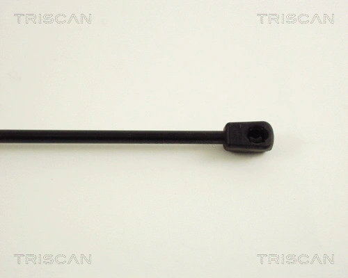 Gas Spring, boot/cargo area