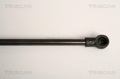 Gas Spring, boot/cargo area