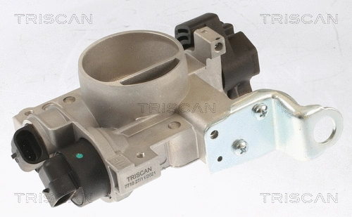 Throttle Body (8820 15002)