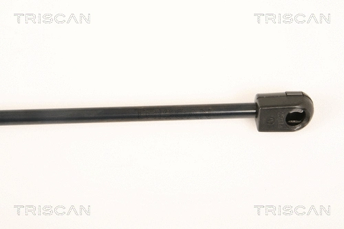 Gas Spring, rear window