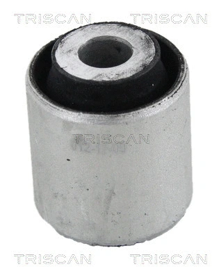 Mounting, control/trailing arm (8500 11893)