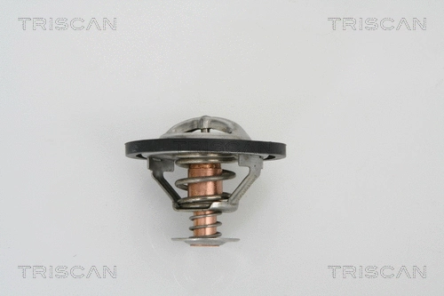 Thermostat, coolant (8620 12982)