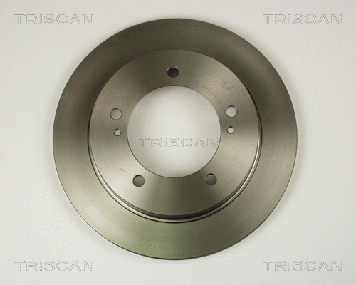 Brake Disc (8120 69108)