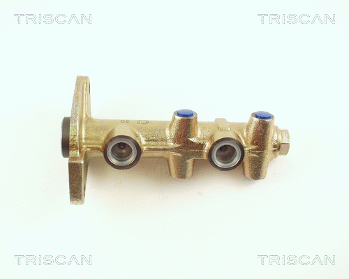 Brake Master Cylinder (8130 70101)