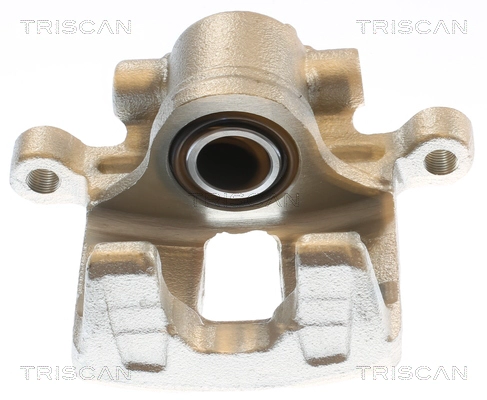 Brake Caliper (8175 10243)
